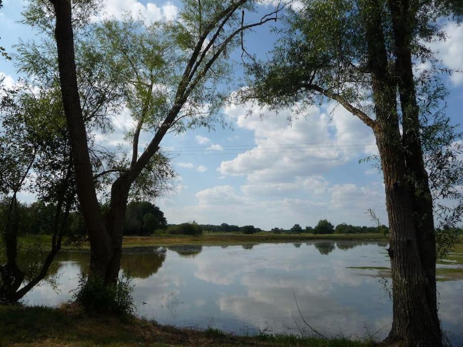 Le Prieure De Loups Bed & Breakfast Saint-Michel-en-Brenne Exterior foto